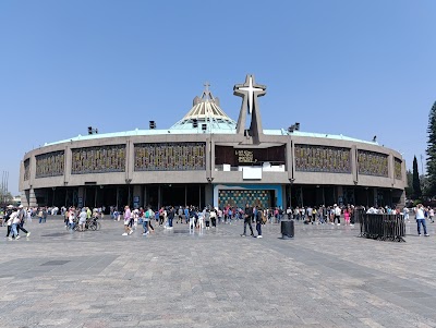 Basilica of Our Lady of Guadalupe