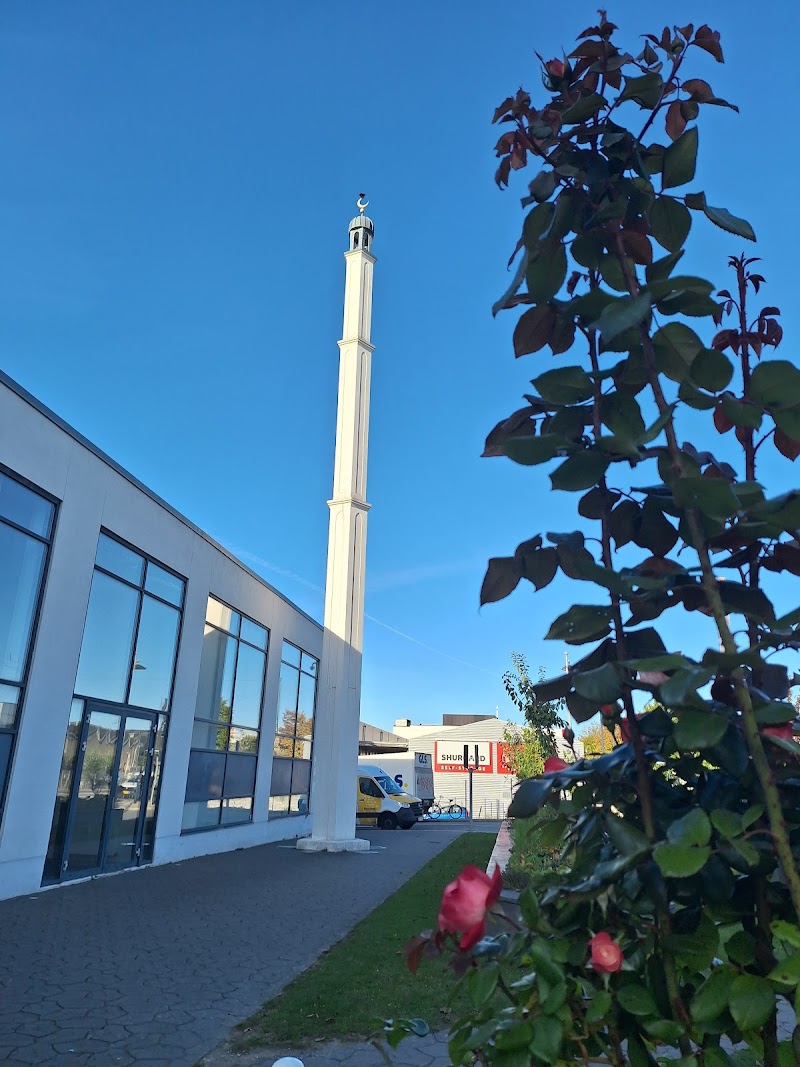 Khayr El-Barriya Moskeen photo 4