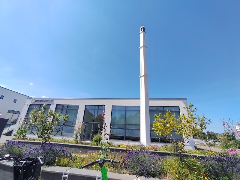 Khayr El-Barriya Moskeen photo 6