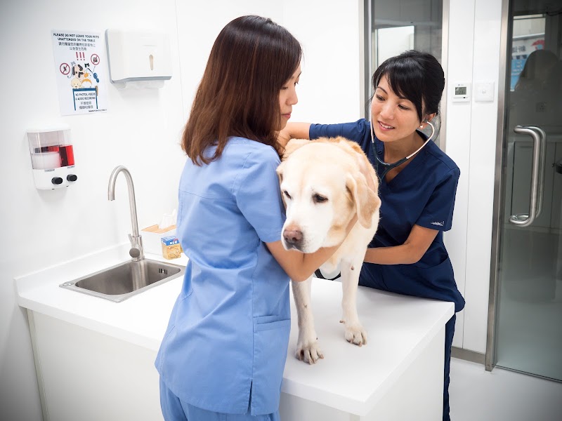 24-Hour Concordia Pet Care