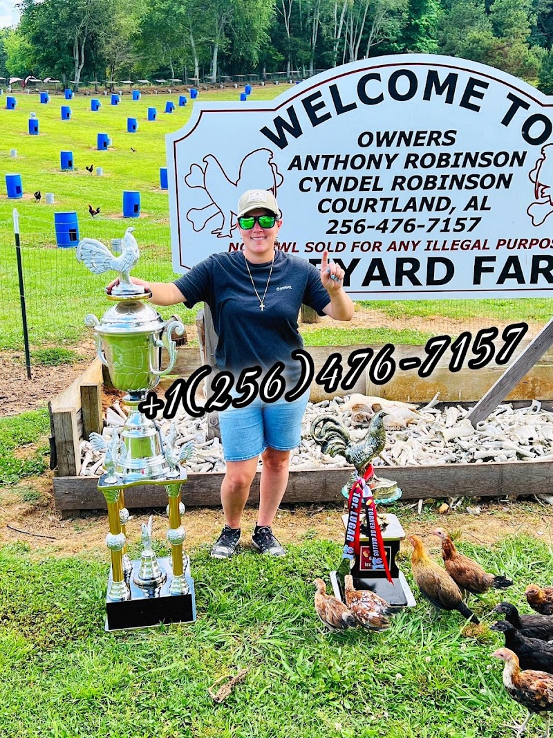 Boneyard farm - Photo 4