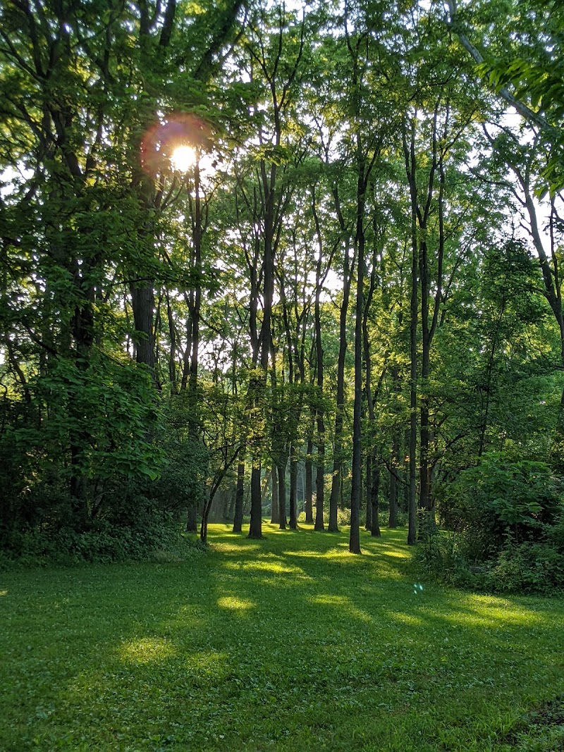Roscoe Ewing Park Disc Golf Course photo 2