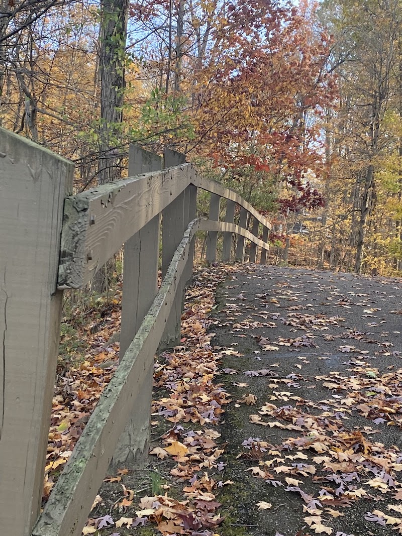 Roscoe Ewing Park Disc Golf Course photo 1