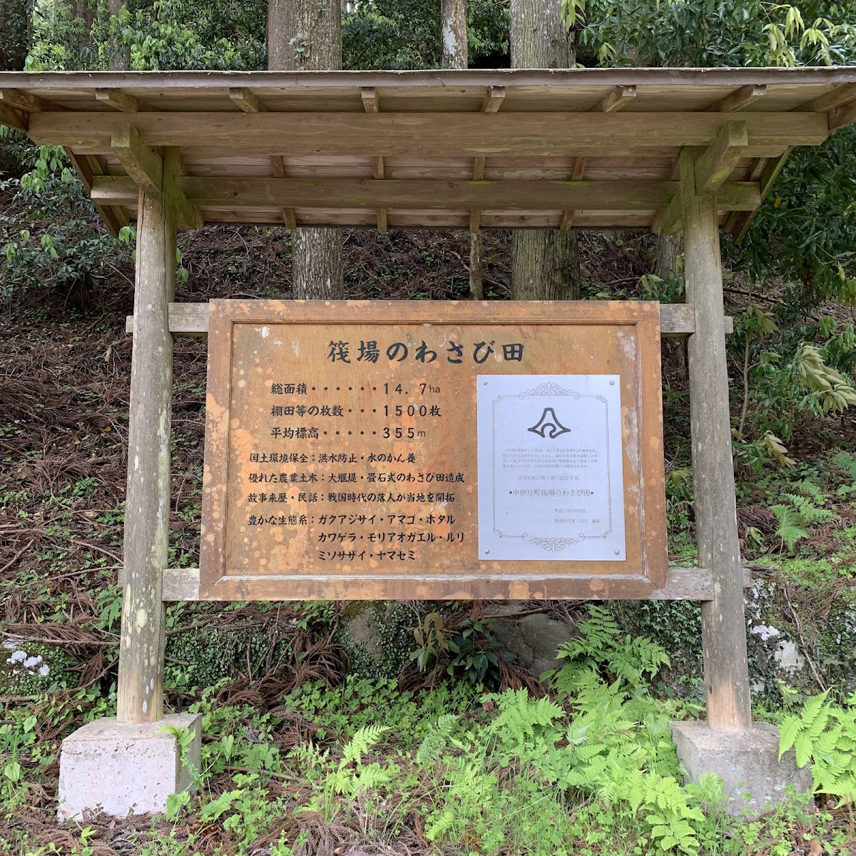 Wasabi Country: Utogi, Where Wasabi Began photo