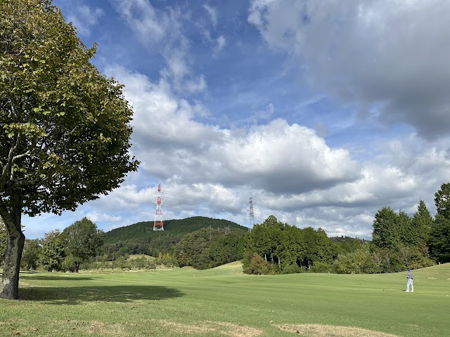 New Capital Golf Club - Photo 8