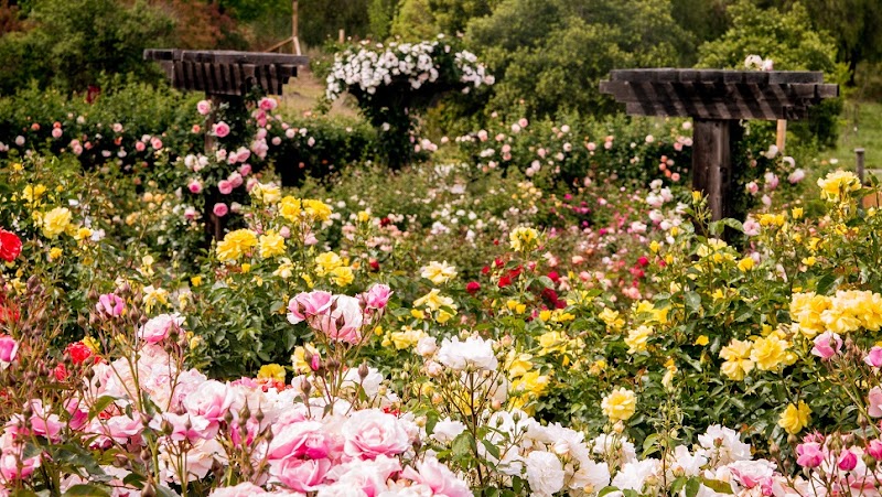 The Gardens at Heather Farm