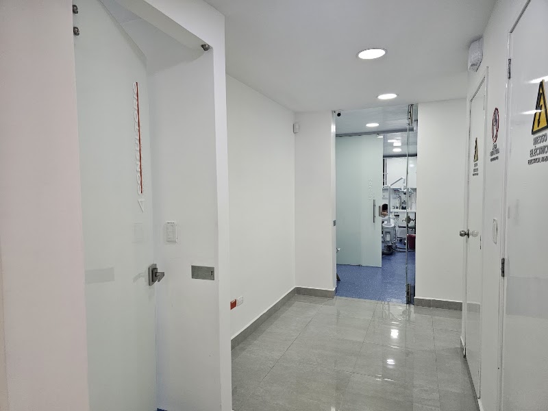 Gallery 4