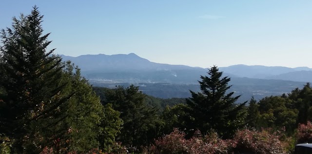 Asama Kogen Country Club - Photo 9
