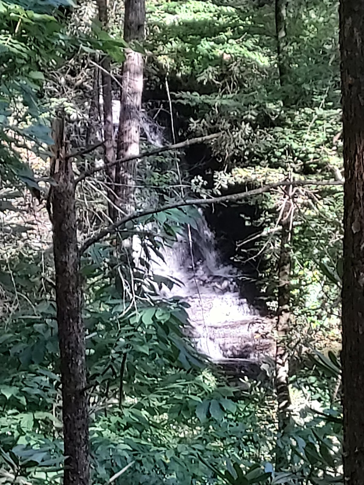 Camp Branch Falls