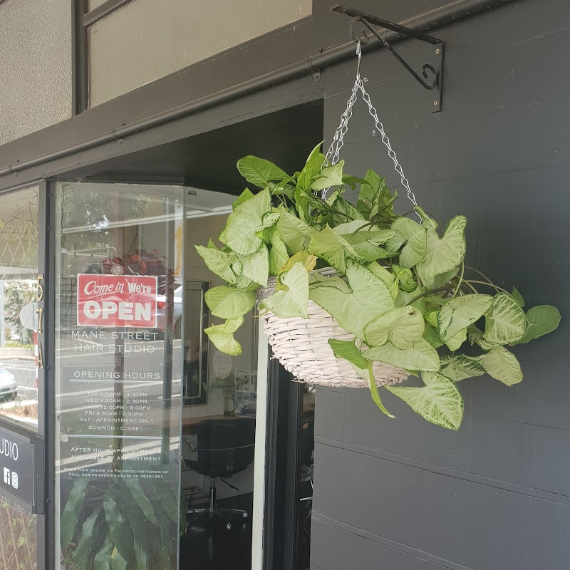 Mane Street Hair Studio photo 1