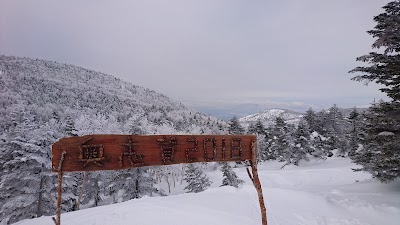 Shiga Kogen Okushiga Kogen Ski Area - 4