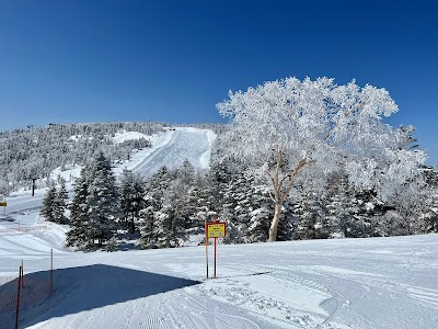 Shiga Kogen Okushiga Kogen Ski Area - 3