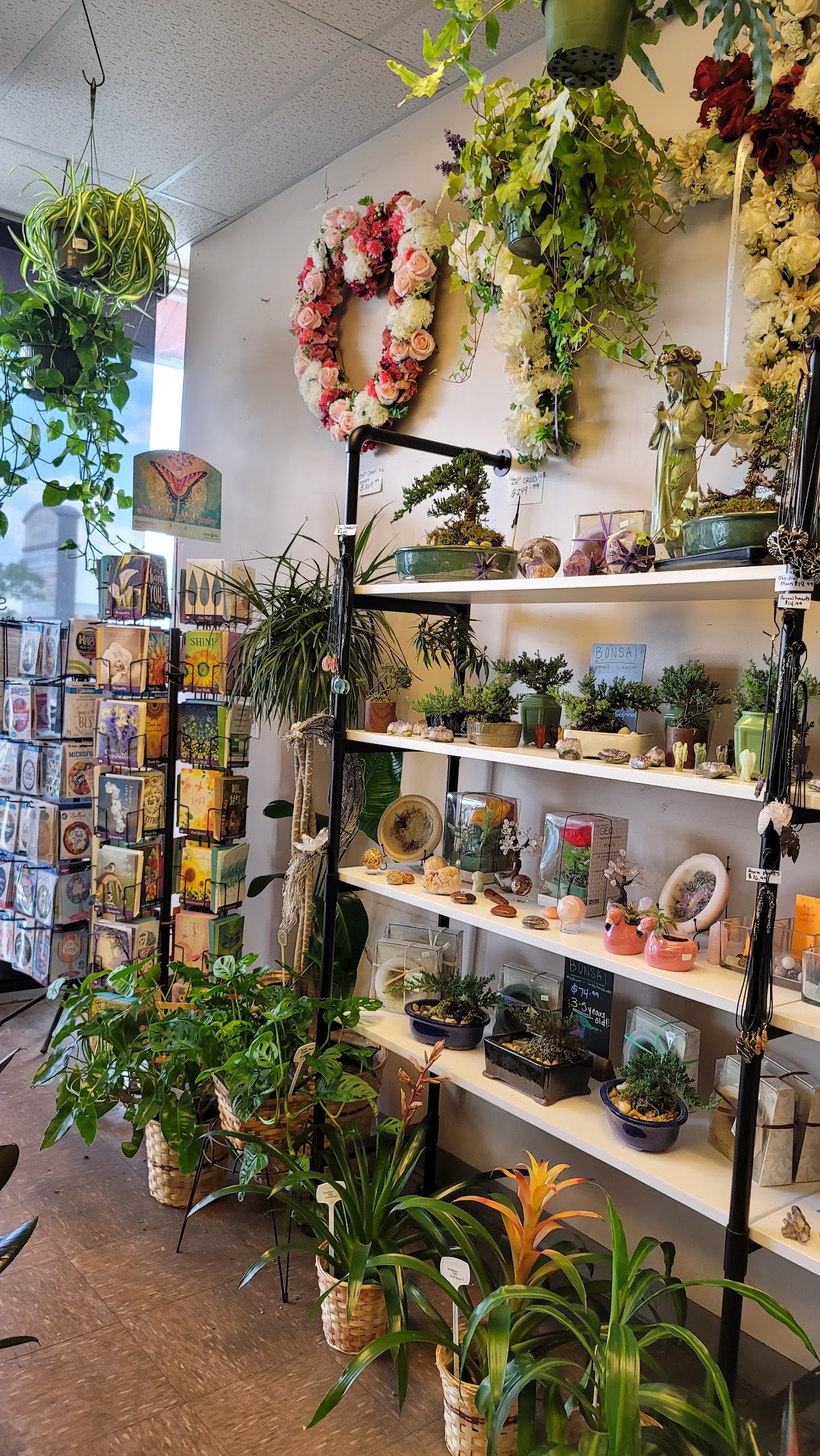 Bloomshop: Google Places image 3