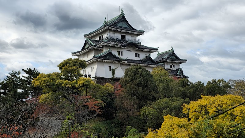 Wakayama Castle photo