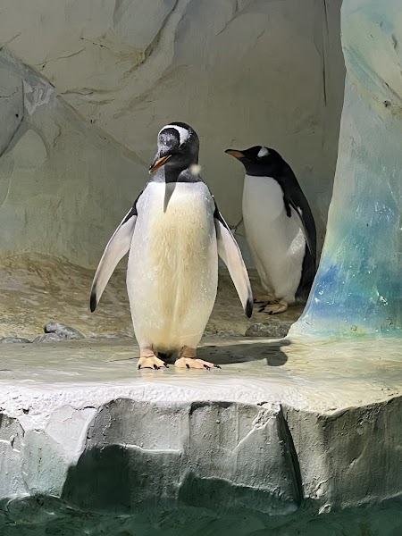 National SEA LIFE Centre Birmingham