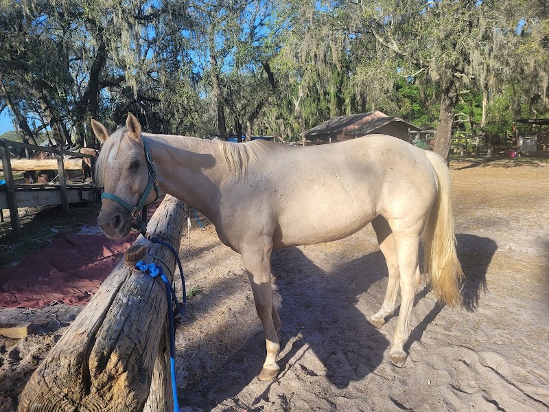 In the Breeze Ranch - Photo 6