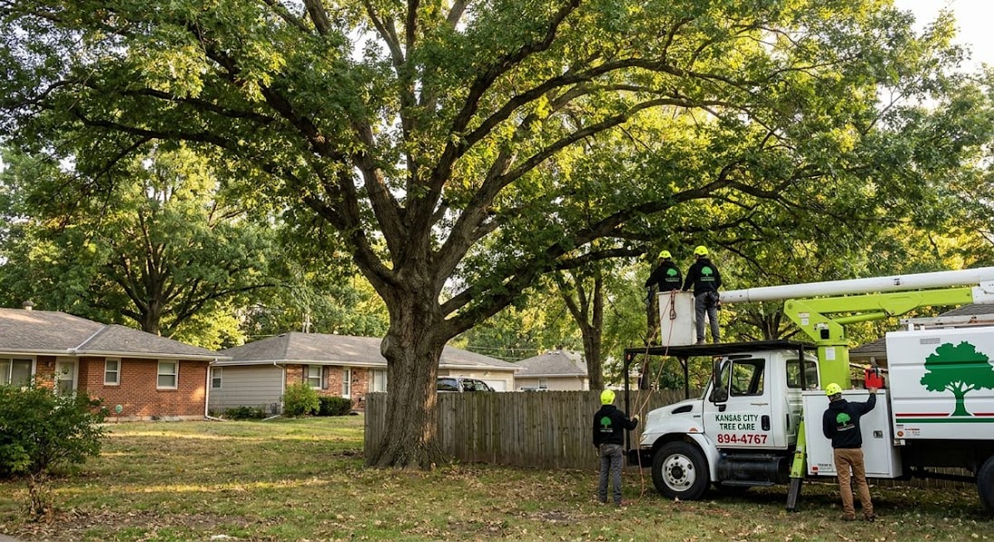 Kansas City Tree Care LLC