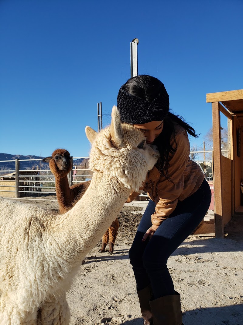 Nature Health Farms Petting Zoo, Airbnb, Alpaca Farm & Wedding Chapel in Pahrump - Photo 3