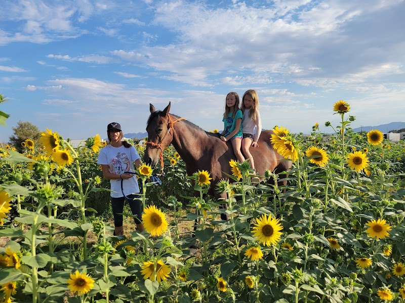 Nature Health Farms Petting Zoo, Airbnb, Alpaca Farm & Wedding Chapel in Pahrump - Photo 2