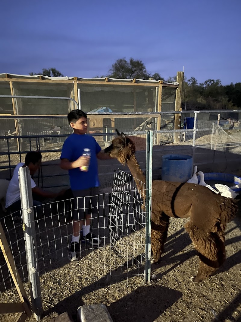 Nature Health Farms Petting Zoo, Airbnb, Alpaca Farm & Wedding Chapel in Pahrump - Photo 1