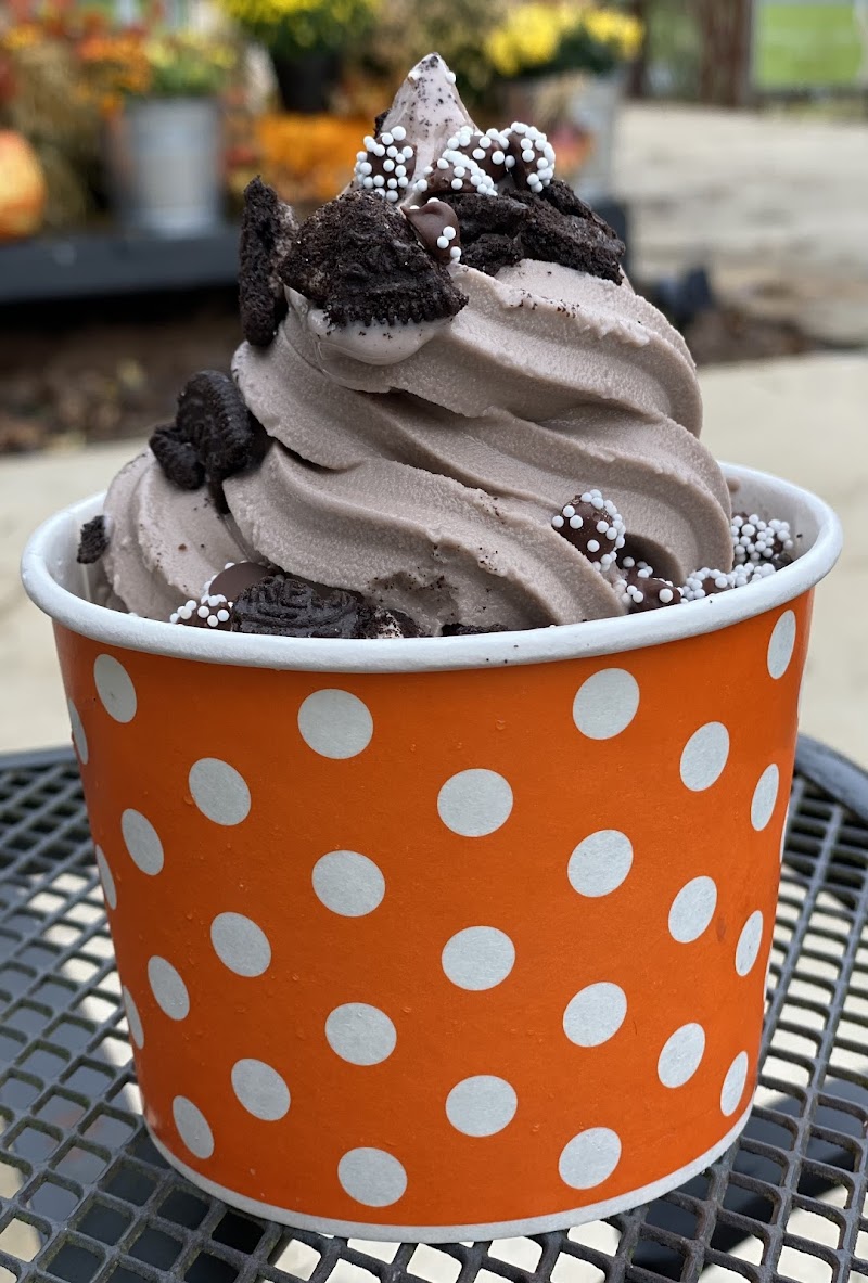 Brain Freeze photo 4