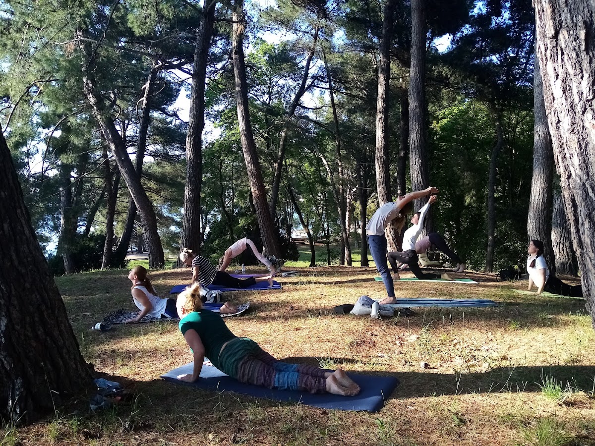 Yoga Poreč - Vitasana — 3