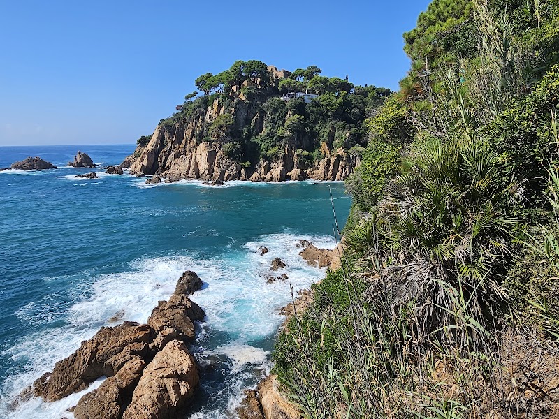 Porta d'Esdeveniments, Jardí Botànic Marimurtra