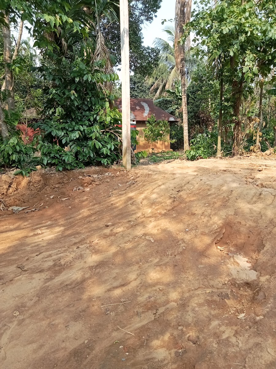 Aralia sree Dam saha para photo 2
