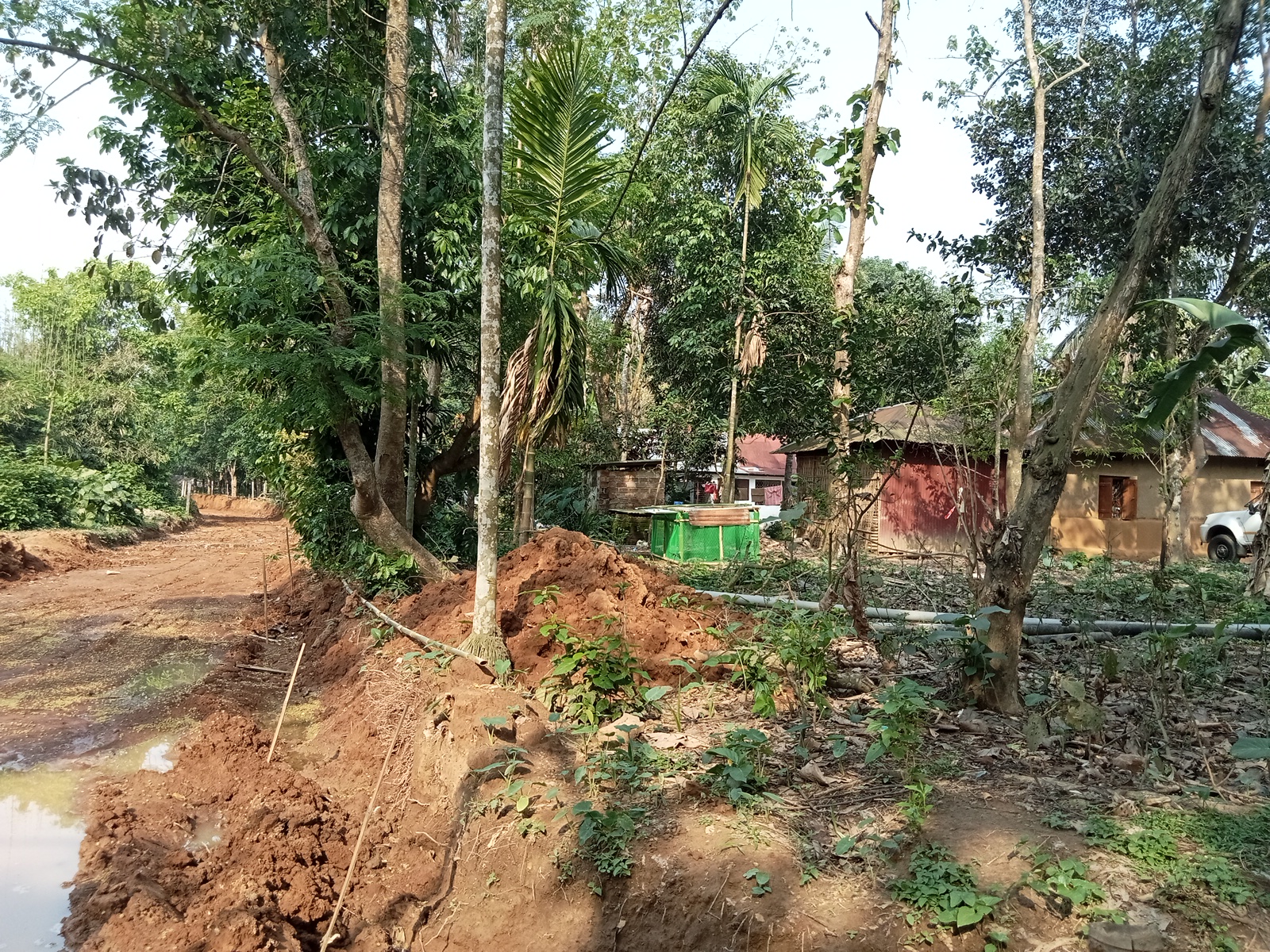 Aralia sree Dam saha para photo 1