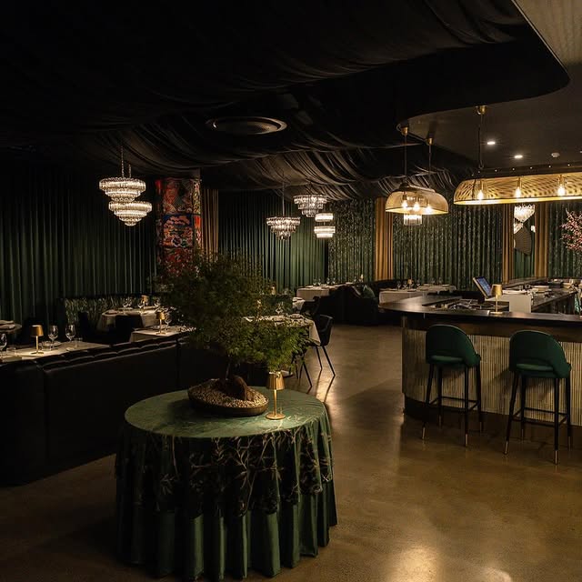 Madame V in gold-coast