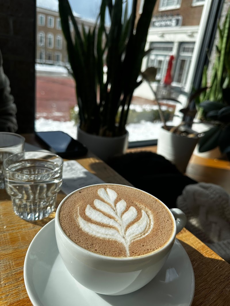 Fox in the Snow Cafe photo 4