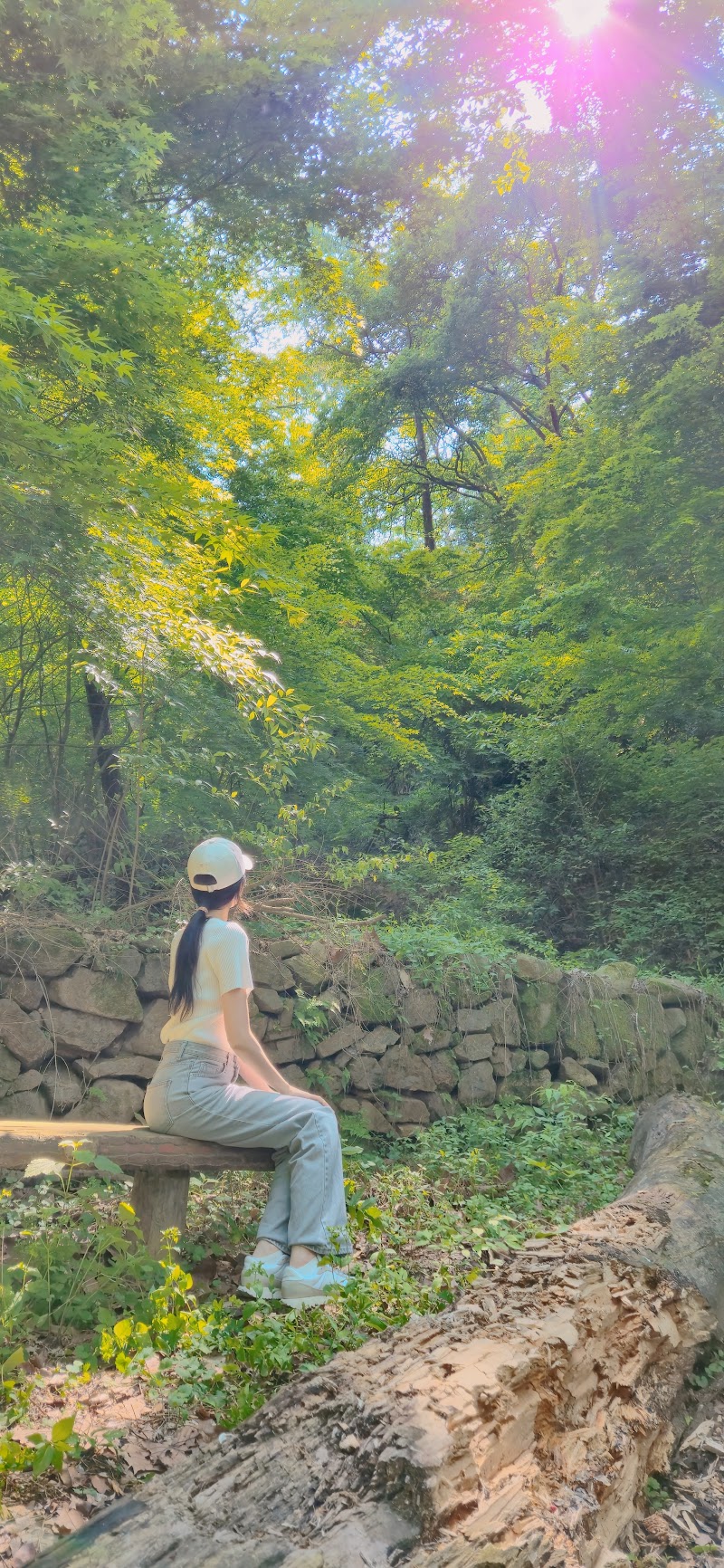 보문산숲치유센터 사진 4