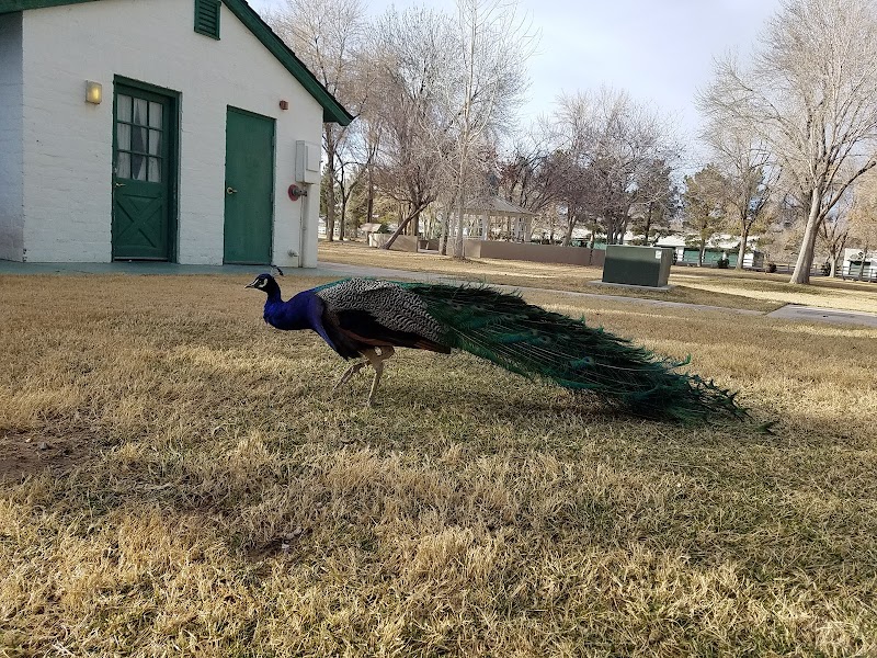 Tule Springs Ranch - Photo 1