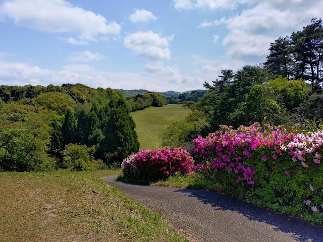 Tamatsukuri Onsen Country Club - Photo 5
