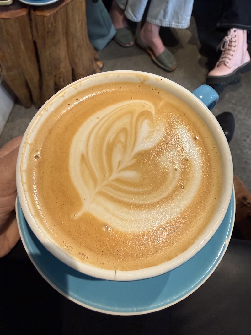 Oddly Correct Coffee Bar photo 3