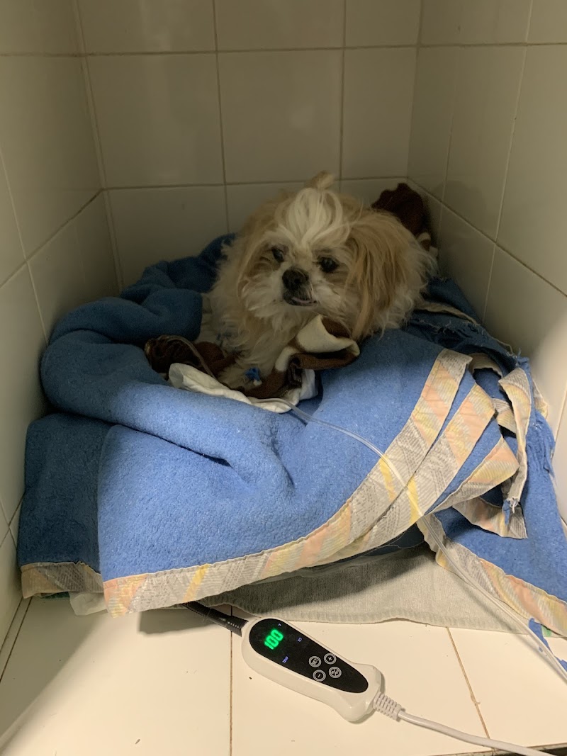 Clínica veterinaria en Salamanca - La Salle