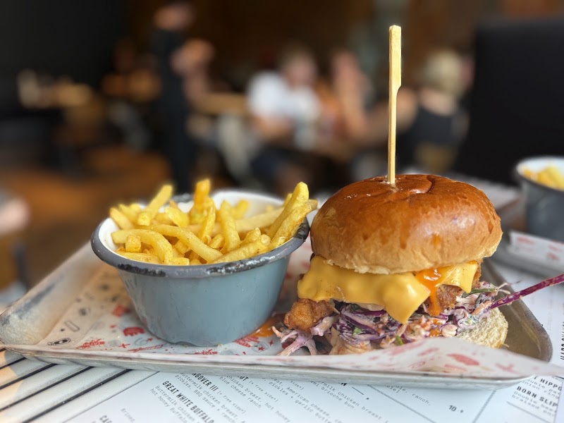 Fat Hippo Edinburgh photo 4