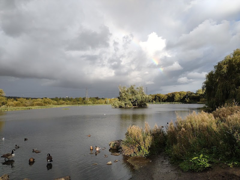 Shibdon Pond Local Nature Reserve