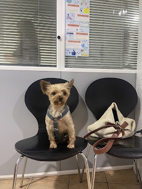 Clinica Veterinaria Alacant