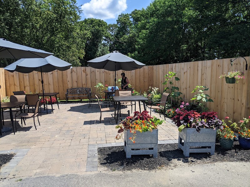 Wild Honey Café photo 1