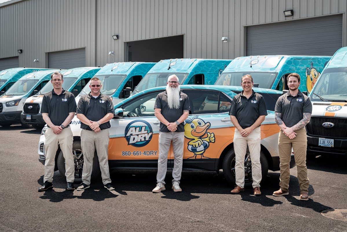 All Dry Services Providence: Water, Fire, Mold — photo