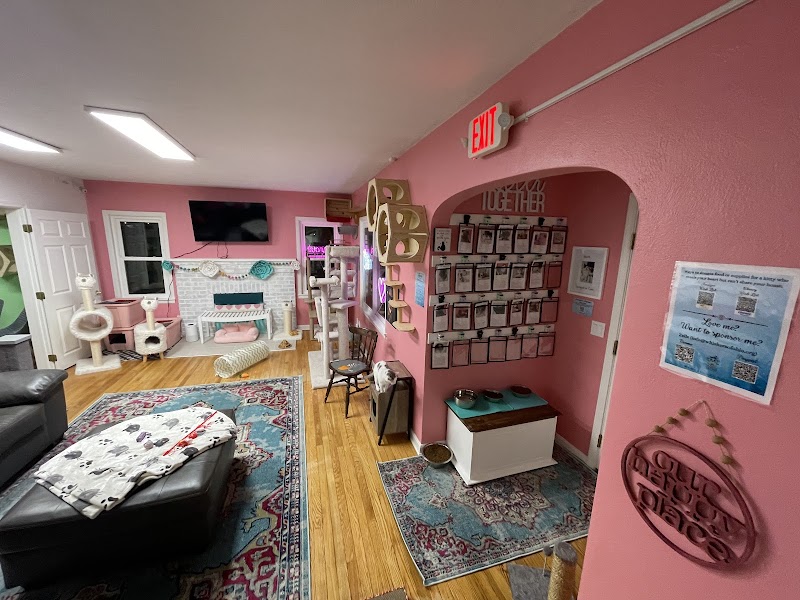 Whiskers Catnip Cottage