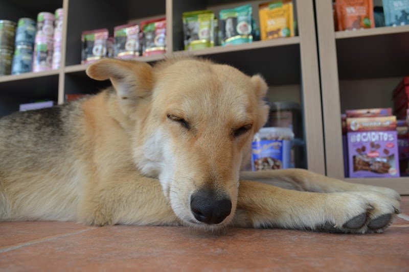 Centro Veterinario Montañana