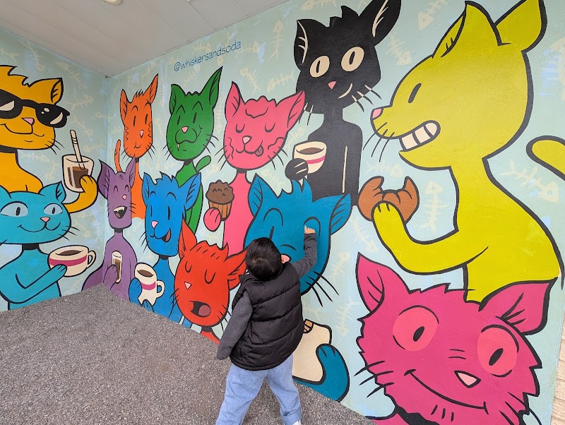 Whiskers and Soda photo 4