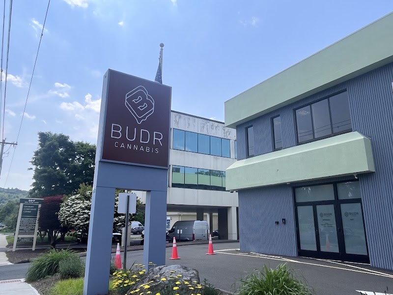 Video tour of Budr Cannabis - Danbury Mill Plain Road retail environment