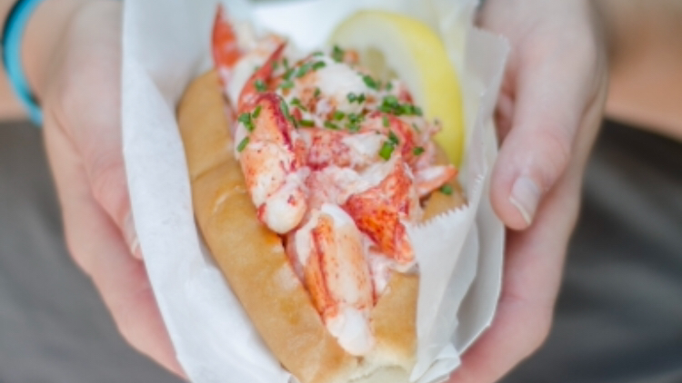 Bite into Maine photo 4