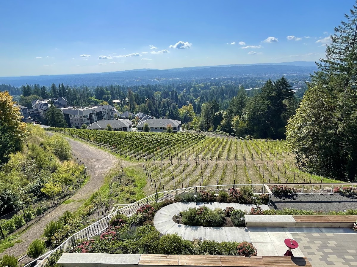 Amaterra Winery: Google Places image 3