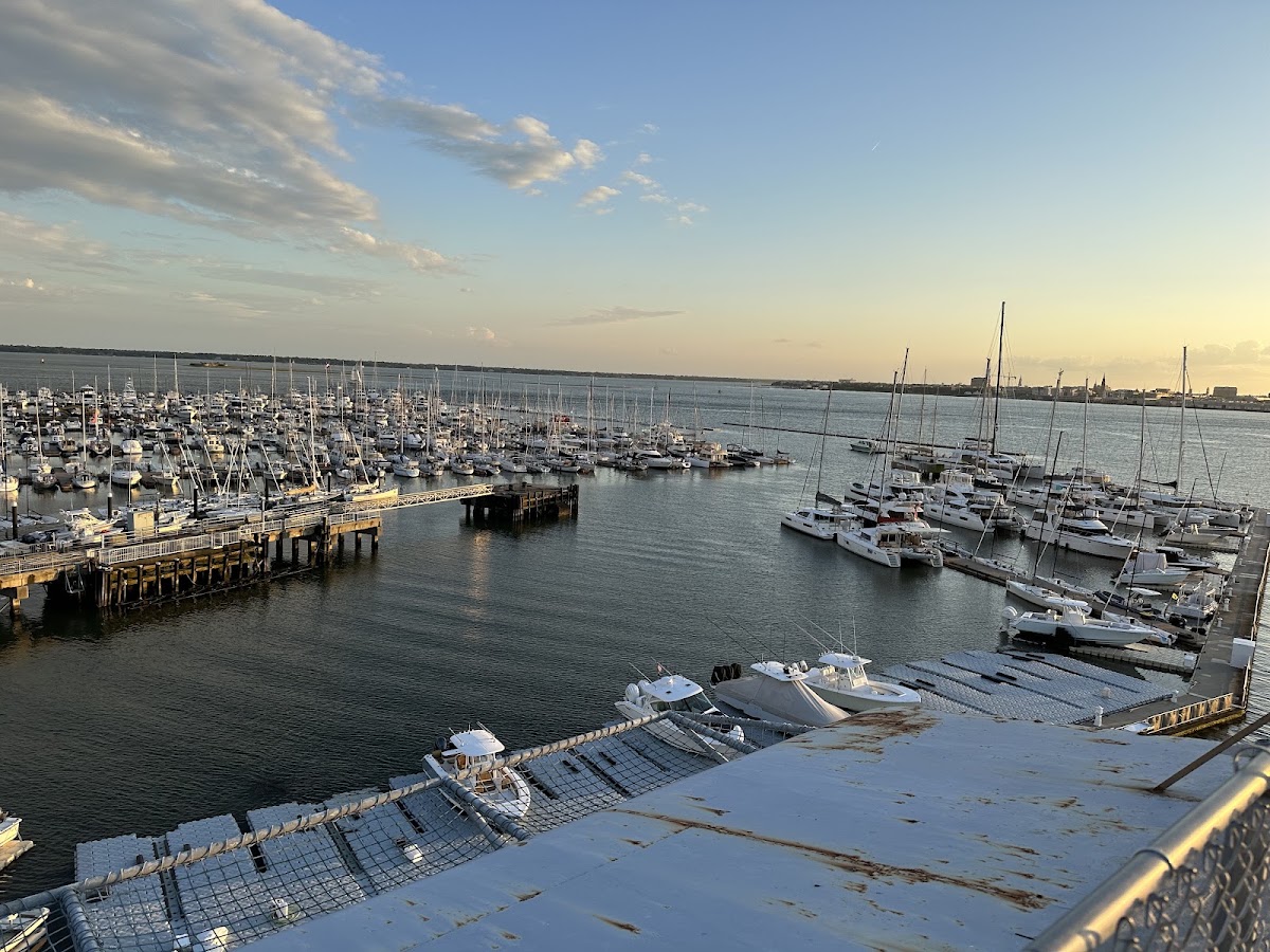 Harborside at Charleston Harbor Resort & Marina, dog-friendly hotel in Charleston