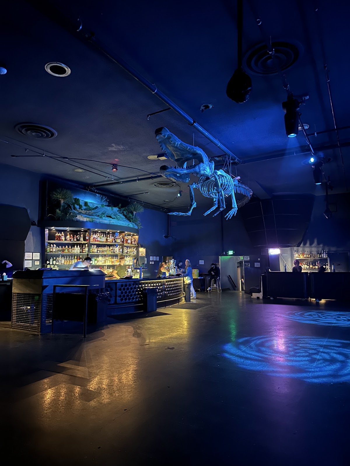 The Crocodile: Google Places image 3
