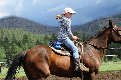 Sprucedale Guest Ranch - Photo 2